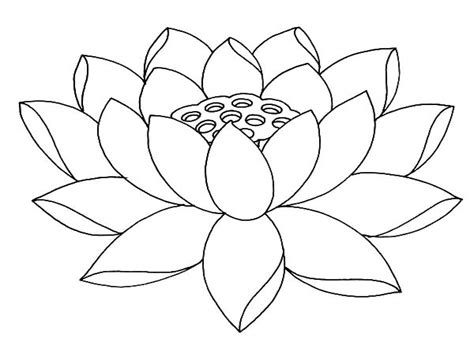 lotus flower coloring pages