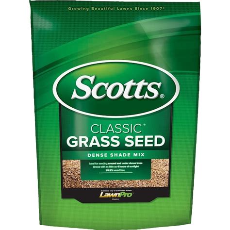 low light grass seed