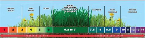 lowering ph of grass