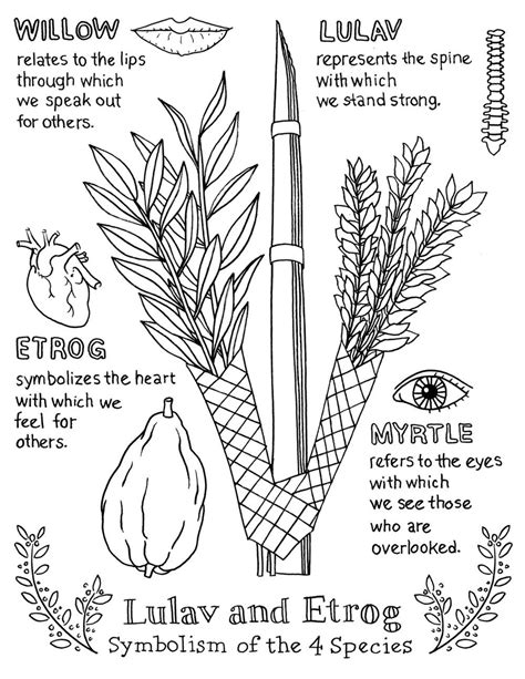 lulav and etrog coloring pages