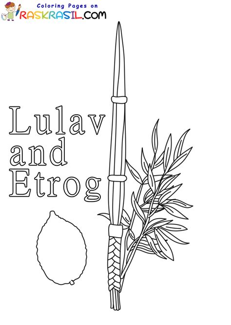 lulav and etrog coloring pages