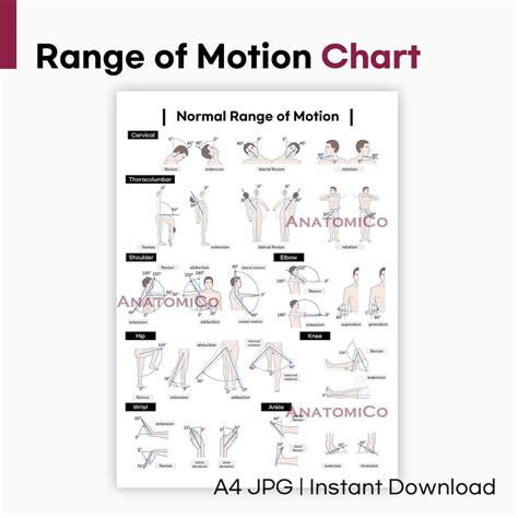 Lumbar Range Of Motion Chart