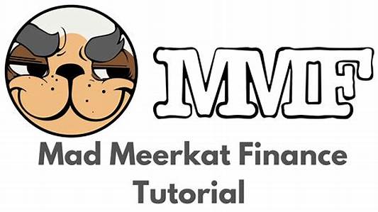 meerkat finance 2