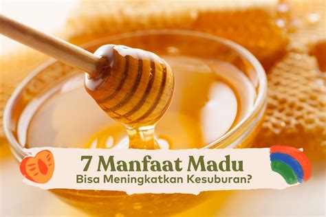 manfaat madu untuk kekebalan tubuh paru-paru