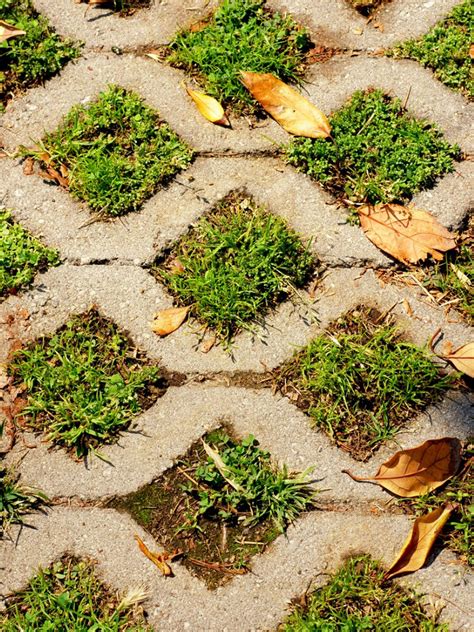 making a grass driveway