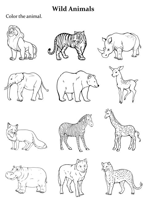 mammal coloring pages