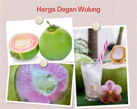 manfaat air kelapa wulung 1