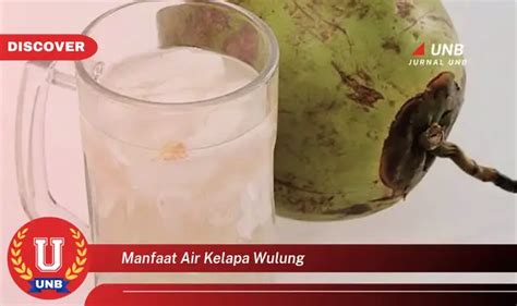 manfaat air kelapa wulung 6