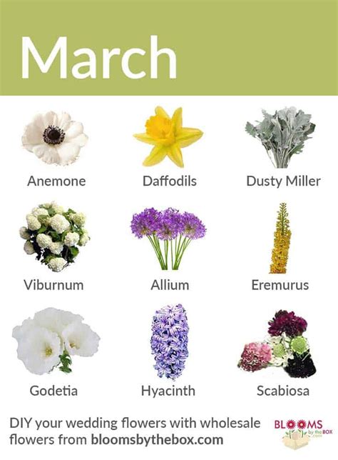 march flower of the month