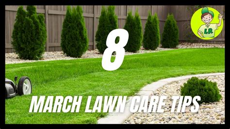 march lawn care tips