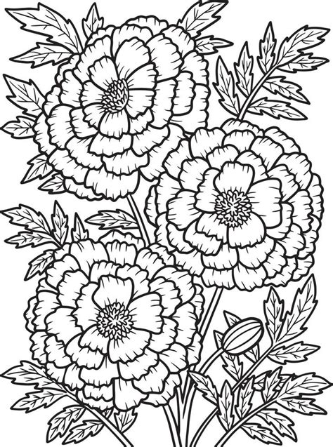 marigold flower coloring pages