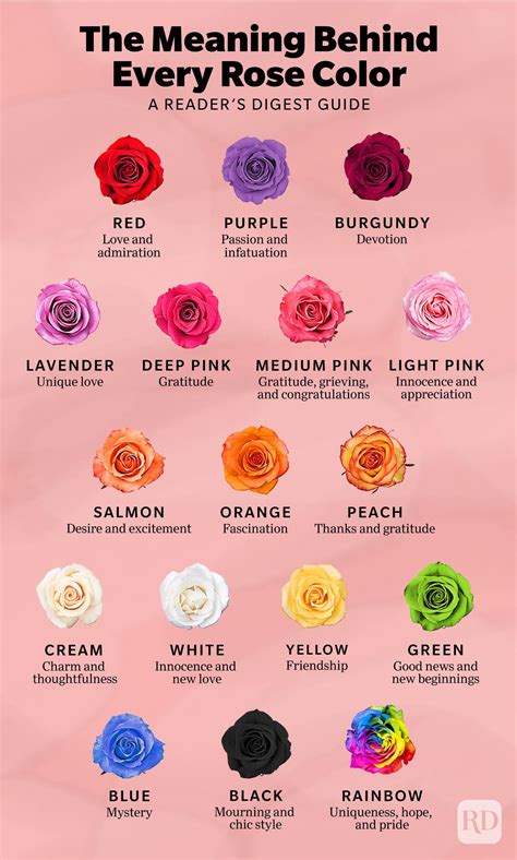 Meaning Of Rose Colors Coloring Wallpapers Download Free Images Wallpaper [coloring436.blogspot.com]