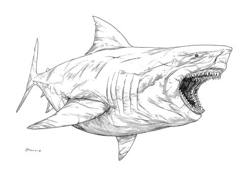 megalodon coloring pages