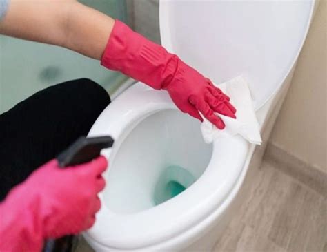 Membersihkan WC
