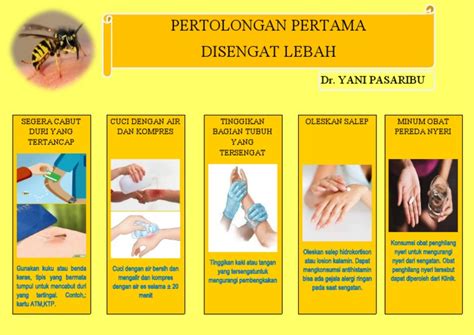 Mencabut Sengat Lebah