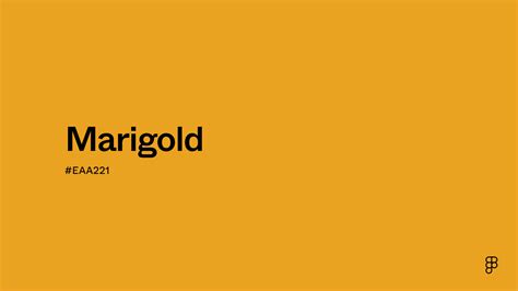 merigold color