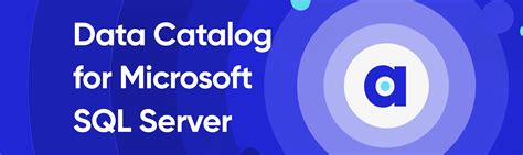 Microsoft Sql Server Data Catalog