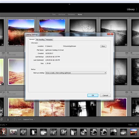 Migrate Lightroom Catalog From Pc To Mac