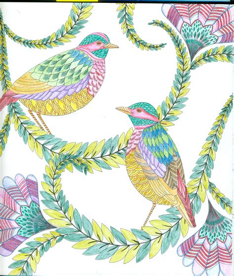 millie marotta coloring pages