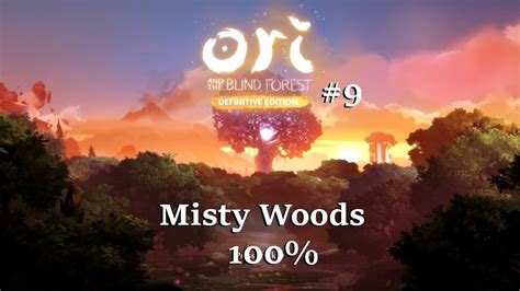 Misty Woods Walkthrough