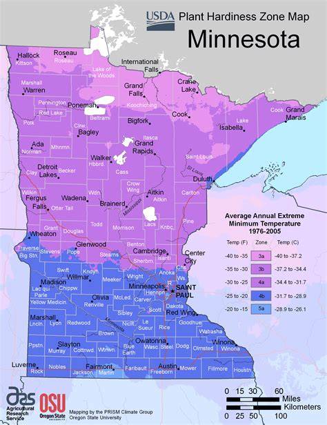 mn planting zone