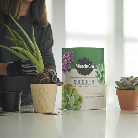 moisture control potting mix succulents