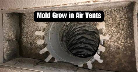 mold on air vent
