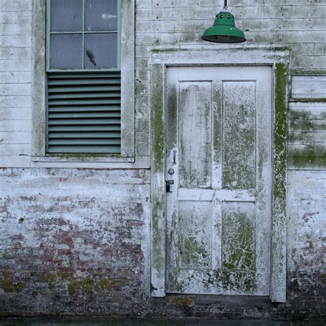 mold on door