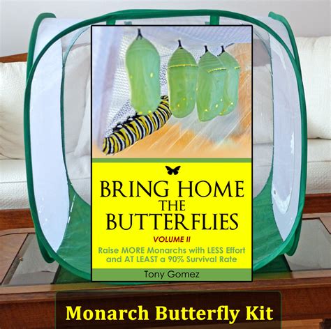 monarch butterfly grow kit