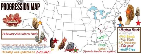 morel progression map 2022
