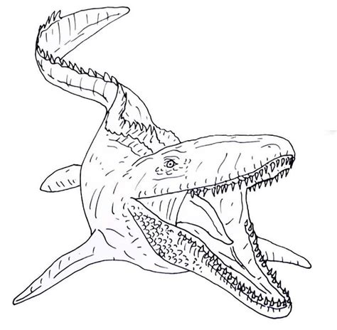 mosasaurus for coloring