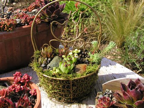 moss lined planters