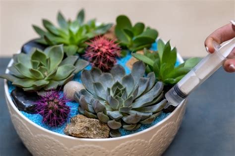 multiple plants in one pot
