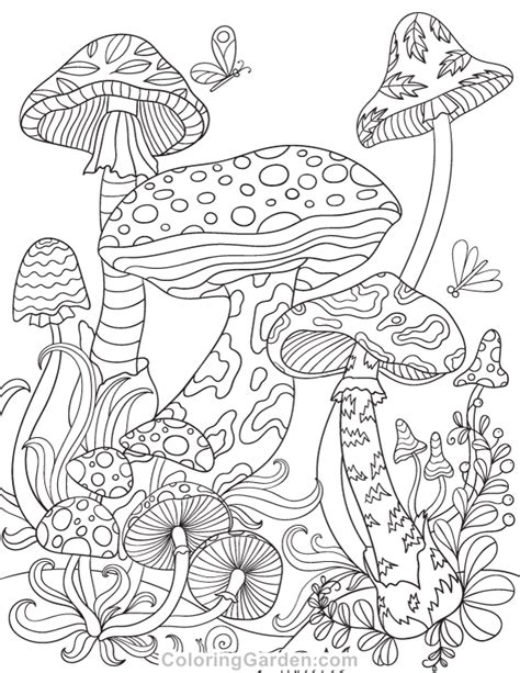mushroom adult coloring