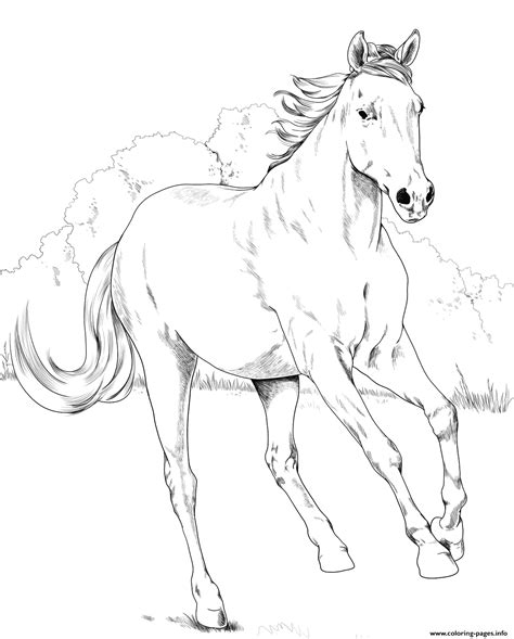 mustang horse coloring pages