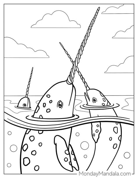 narwhal colouring