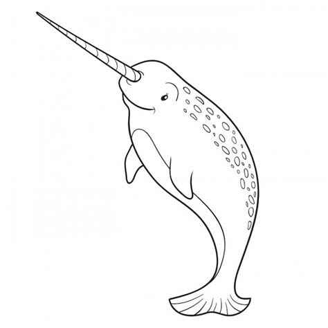 narwhal pictures to color
