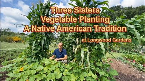 native american companion planting