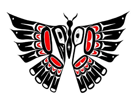 native butterfly