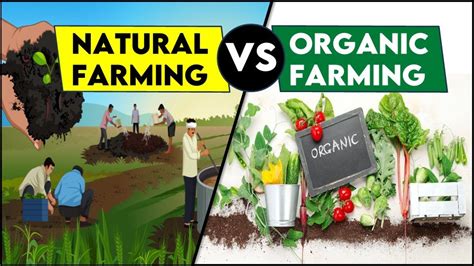 natural and organic farming