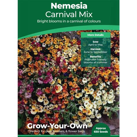 nemesia seeds