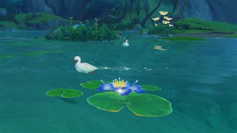 Nilotpala Lotus in a Pond