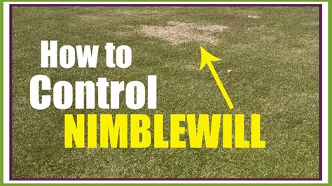 nimblewill control