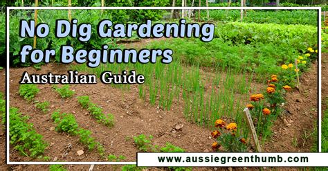 no dig gardening australia