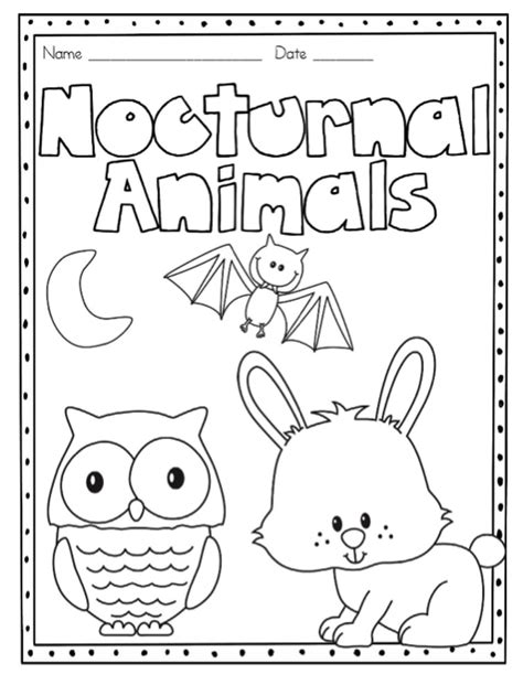 nocturnal animals coloring page