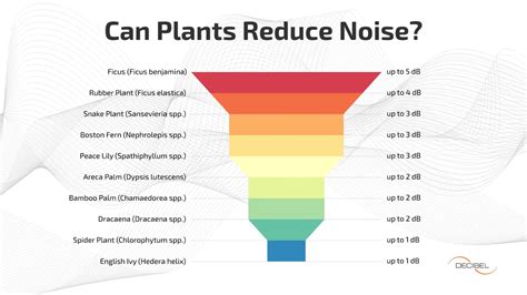 noise reduction plants