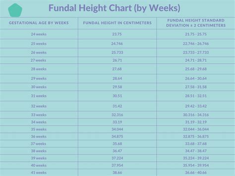 Normal Fundal Height Chart By Week