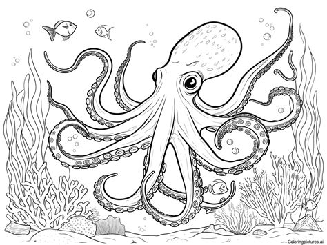octopus coloring picture