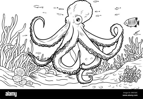 octopus colouring images