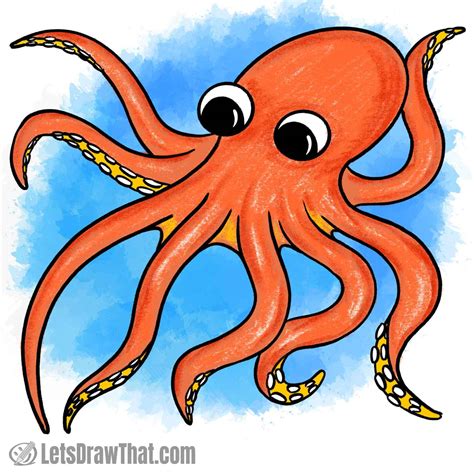 octopus drawing and colour